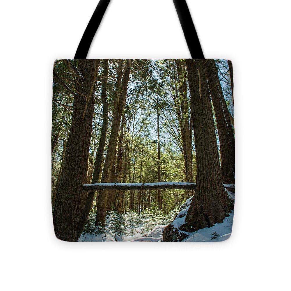 West Virginia Tote Bag featuring the photograph Sun and Snow by Melissa Southern