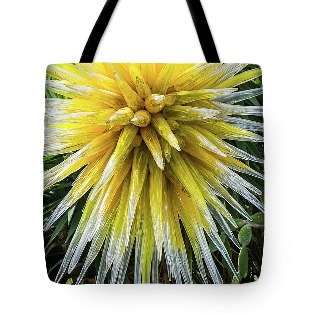 Pittsburgh Tote Bag featuring the photograph Sun Burst by Stewart Helberg