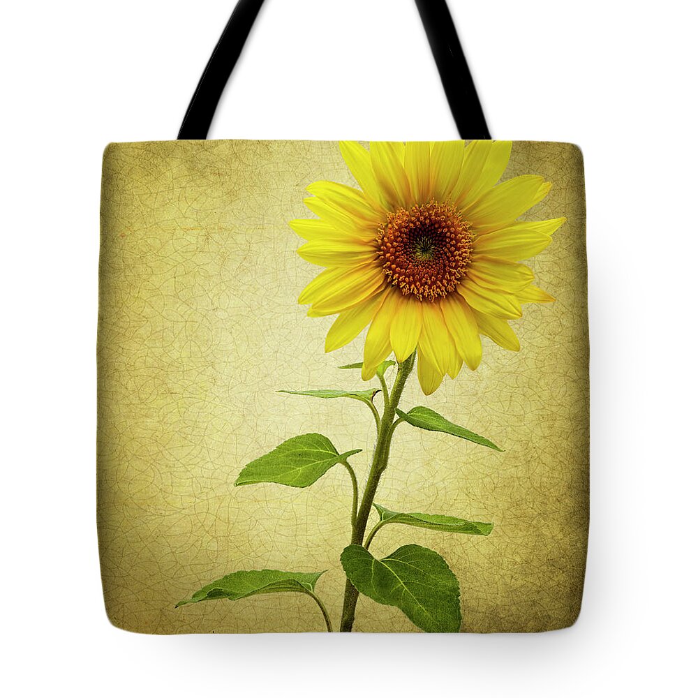 Photograph Tote Bag featuring the photograph Sun Flower by Reynaldo Williams