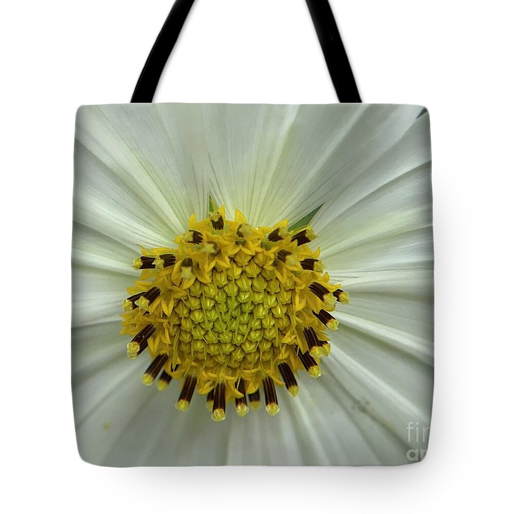 Sun-flower Tote Bag featuring the photograph Sun Flowers in White by Catherine Wilson