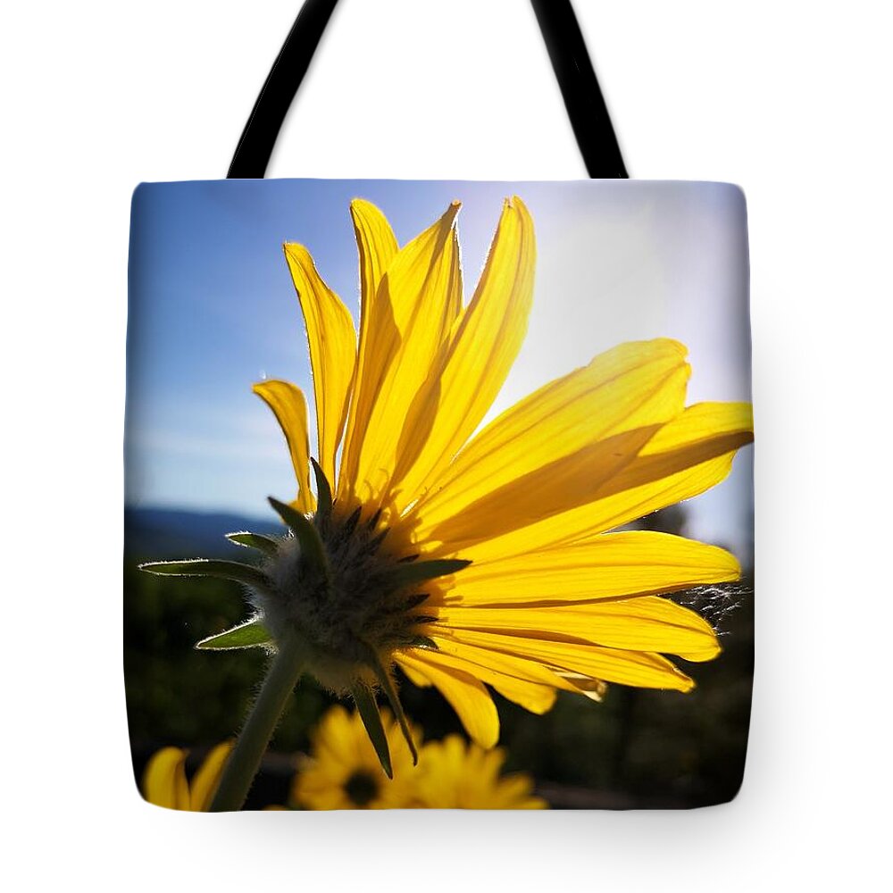 Balsam Root Tote Bag featuring the photograph Sun Gazing by Linda McRae
