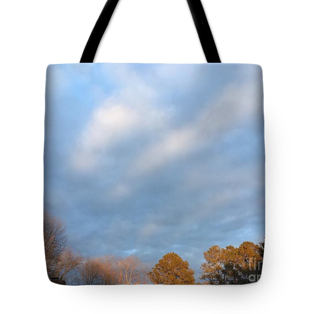Sun Tote Bag featuring the photograph Sun Glowing Trees by Catherine Wilson