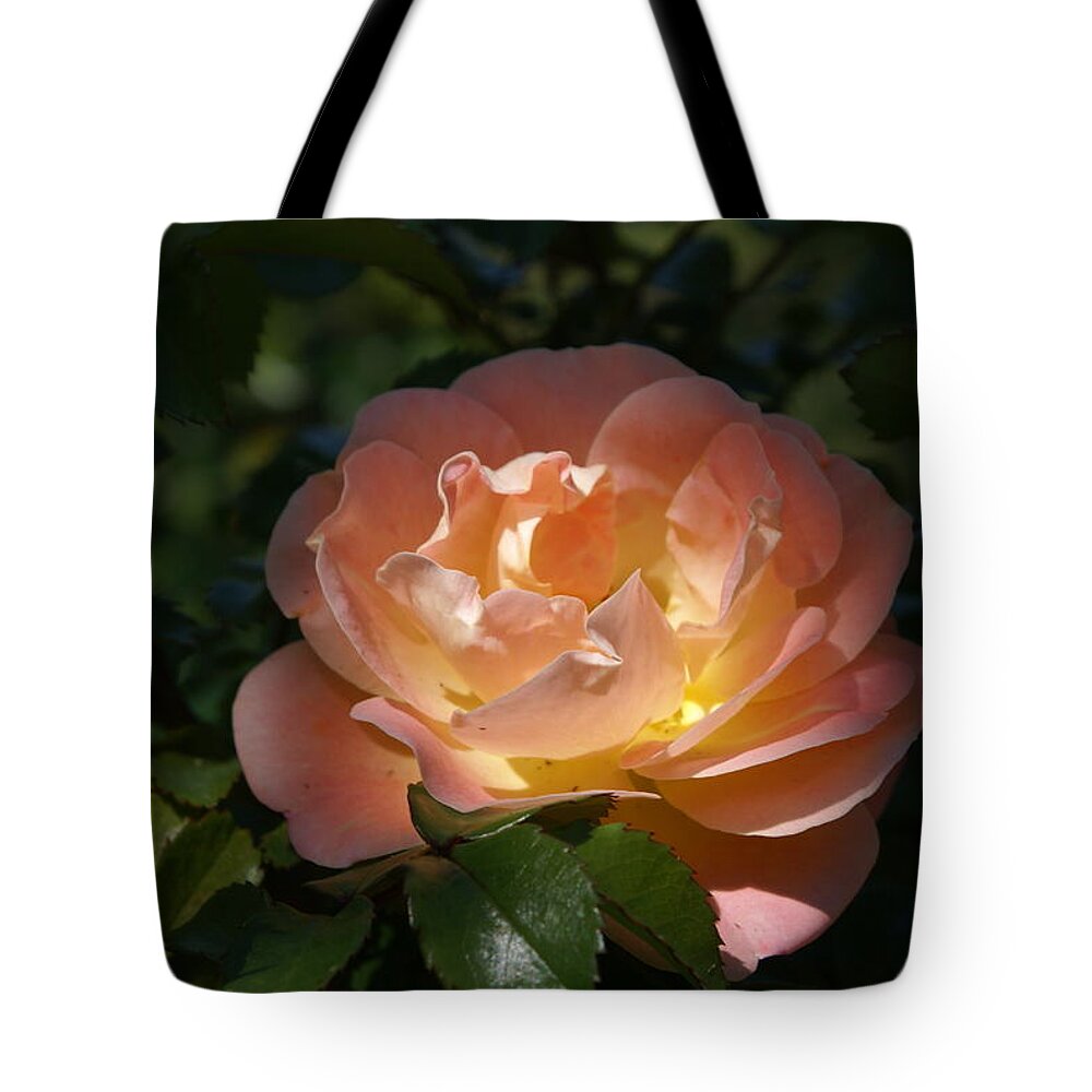  Tote Bag featuring the photograph Sun-kissed Rose by Heather E Harman