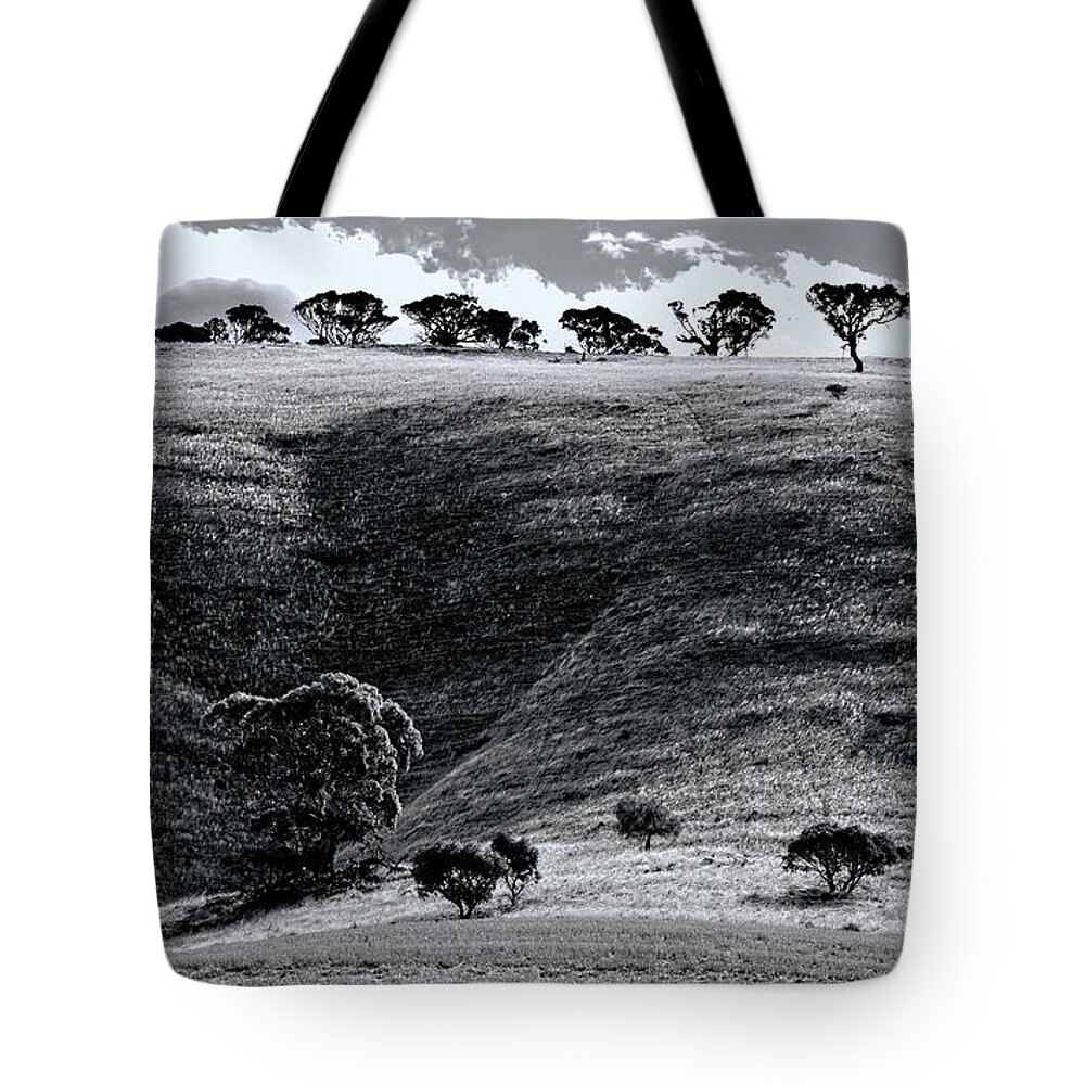 Hills Tote Bag featuring the photograph Sun On The Hills by Wayne Sherriff