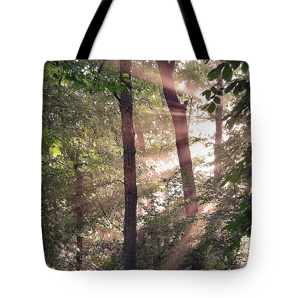 Trees Tote Bag featuring the digital art Sun Rays in Virginia by Nancy Olivia Hoffmann
