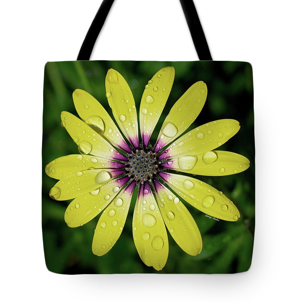 Plants Tote Bag featuring the digital art Sun Showers by Larry Nader