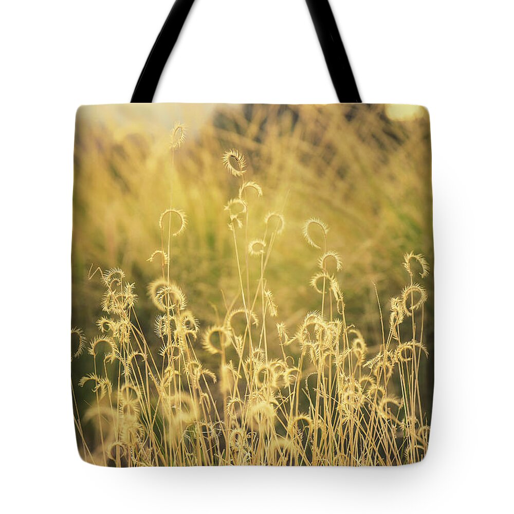 Mountain Tote Bag featuring the photograph Sun Swirls by Go and Flow Photos