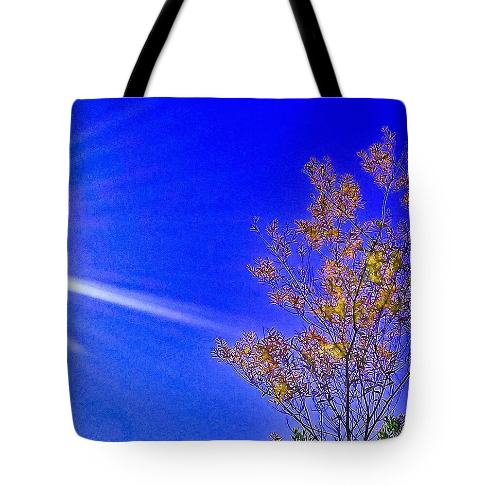 Sky Tote Bag featuring the photograph Sun Tree by Andrew Lawrence
