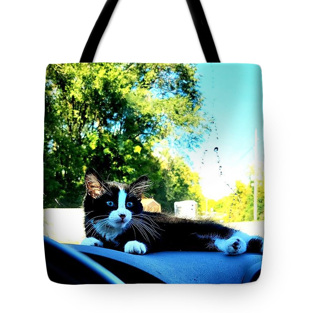 Sun Tote Bag featuring the photograph Sunbathing on the dash by Shalane Poole