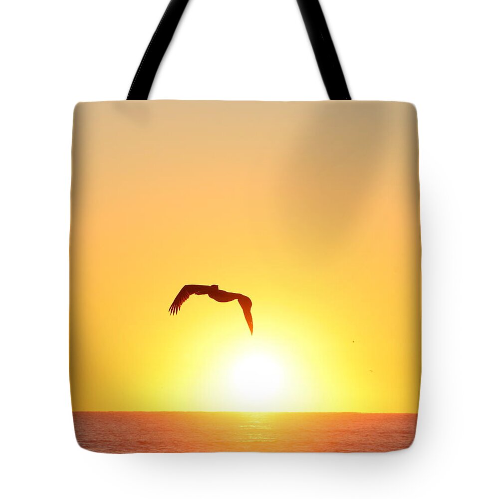 Pelican Tote Bag featuring the photograph Sunbird by Kathleen Illes