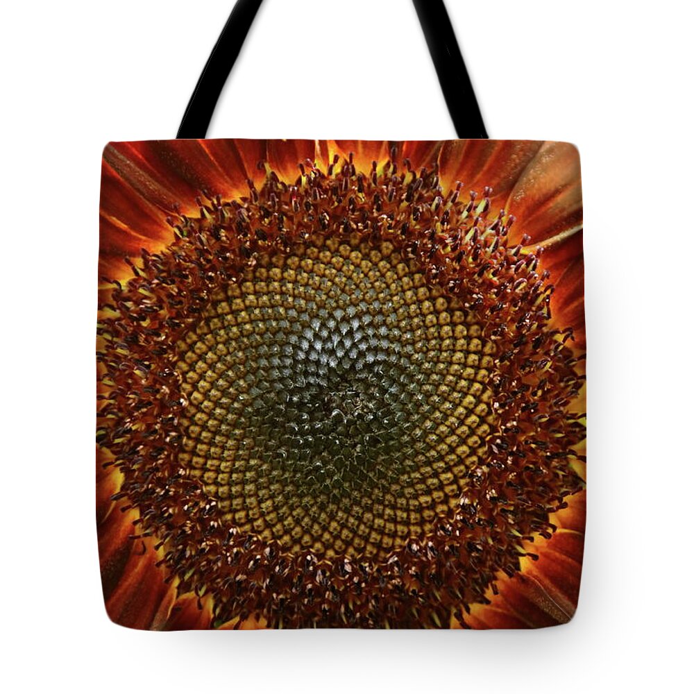 Sunflower Tote Bag featuring the photograph Sunburst by Lens Art Photography By Larry Trager