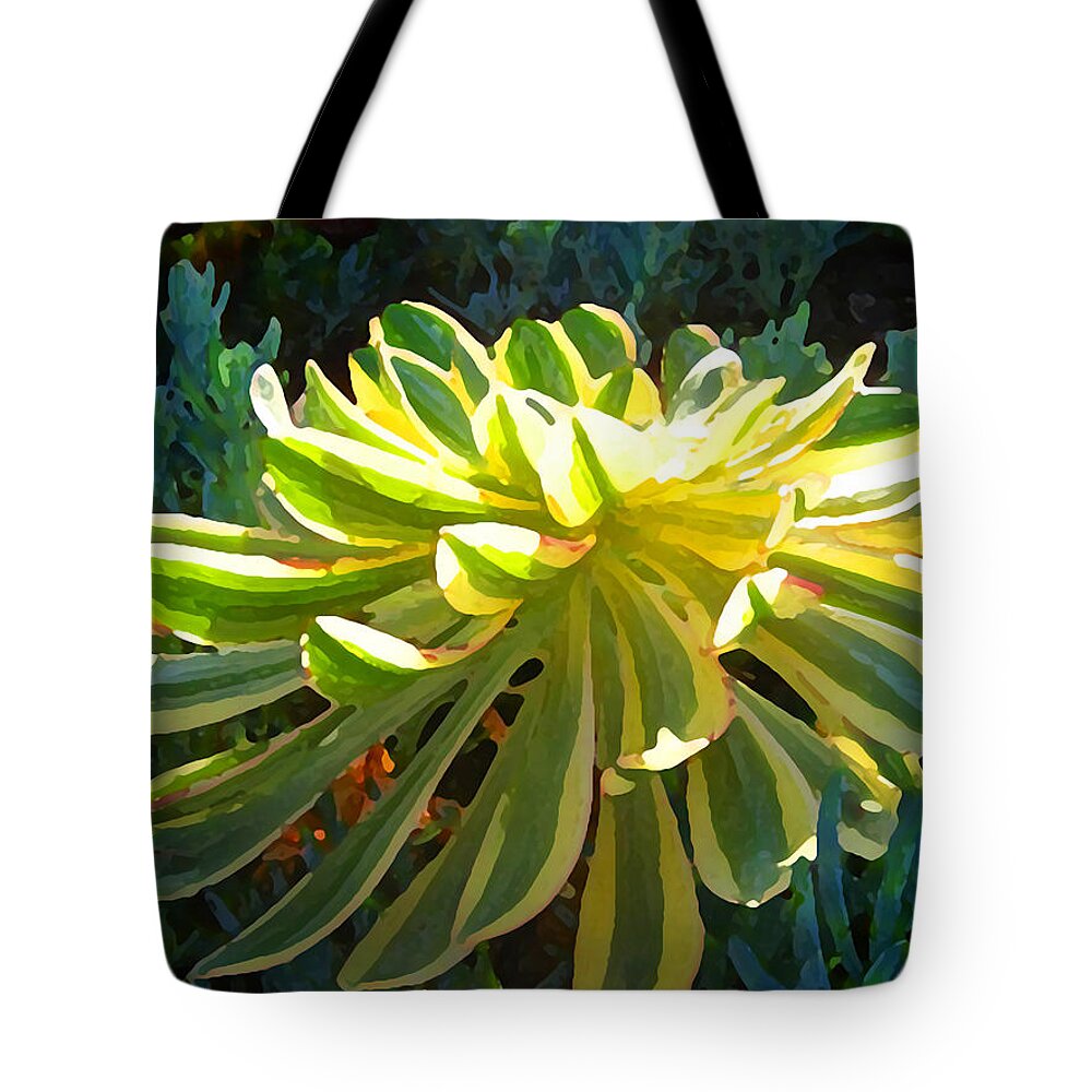 Succulent Tote Bag featuring the painting Sunburst Succulent on Blue by Amy Vangsgard
