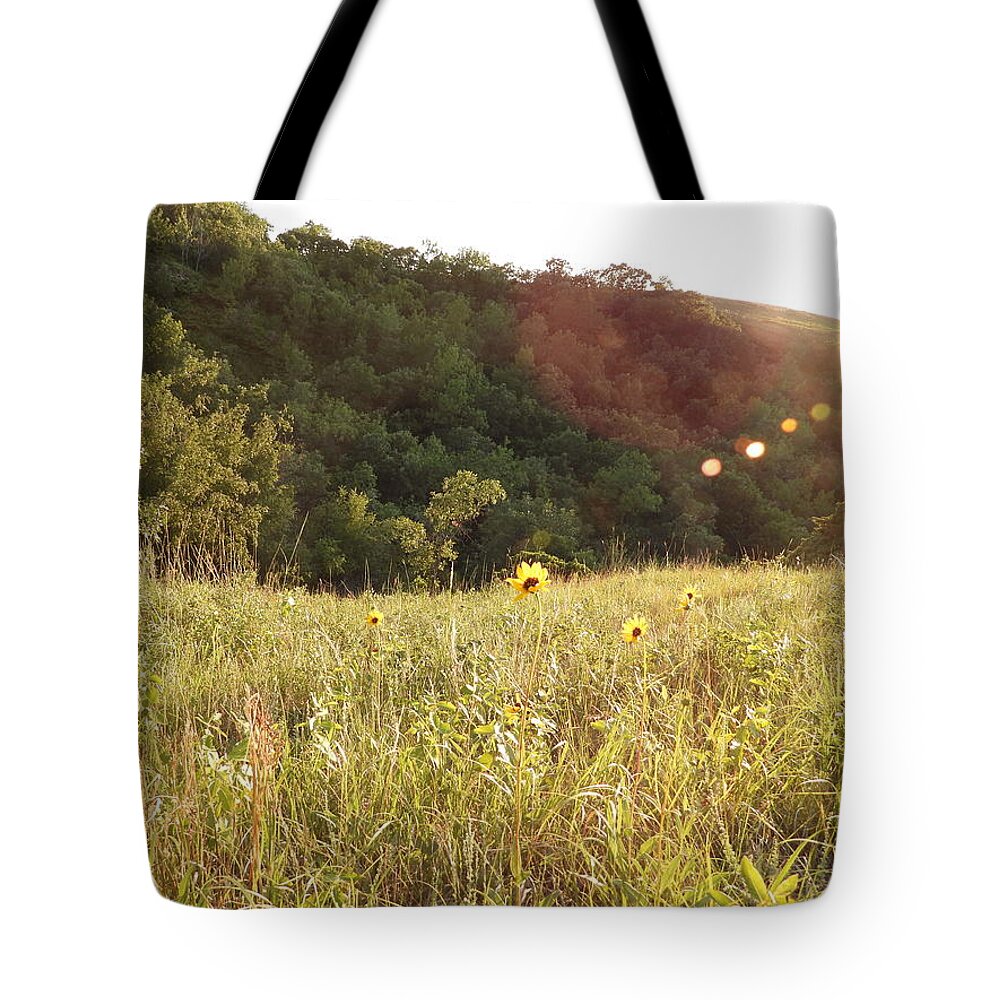 Sunflowers Tote Bag featuring the photograph Sunburst Sunflowers by Amanda R Wright