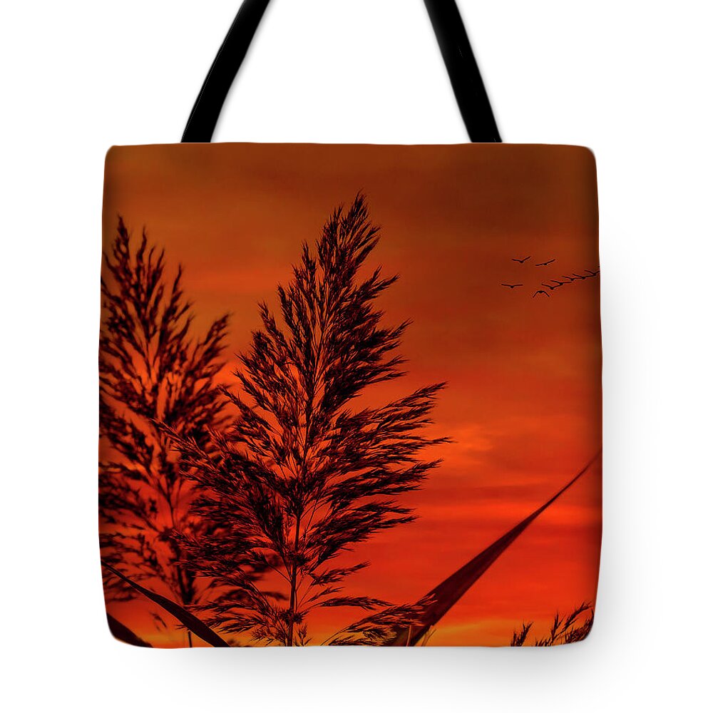 Sunset Tote Bag featuring the photograph Sundown by Cathy Kovarik