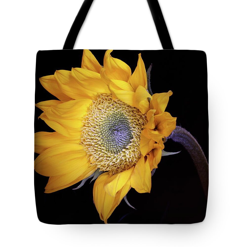 Macro Tote Bag featuring the photograph Sunflower 031708 by Julie Powell