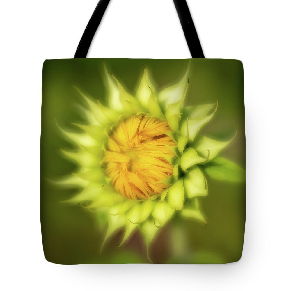 2020 Tote Bag featuring the photograph Sunflower-3 by Charles Hite