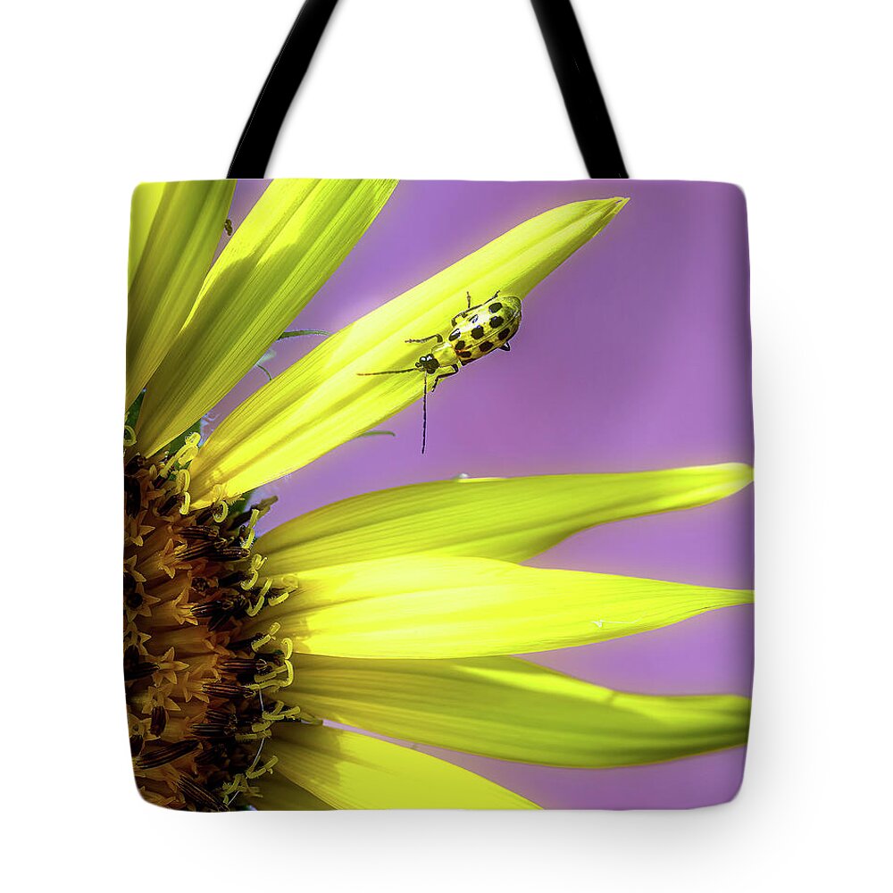 Sunflower Tote Bag featuring the photograph Sunflower and Friend by Cheri Freeman