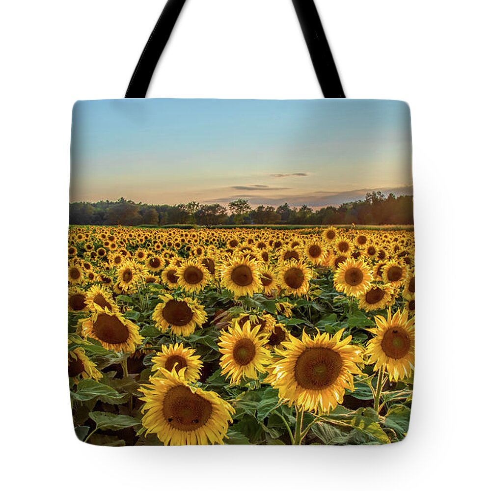 Sunflower Tote Bag featuring the photograph Sunflower City by Rod Best