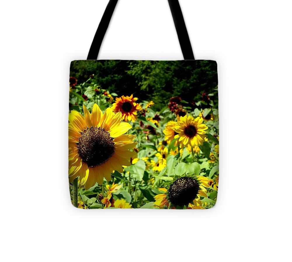 Sunflowers Tote Bag featuring the photograph Sunflower field by Lynn Hunt