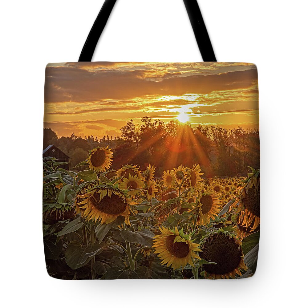 Sunflower Tote Bag featuring the photograph Sunflower field by Ulrich Burkhalter