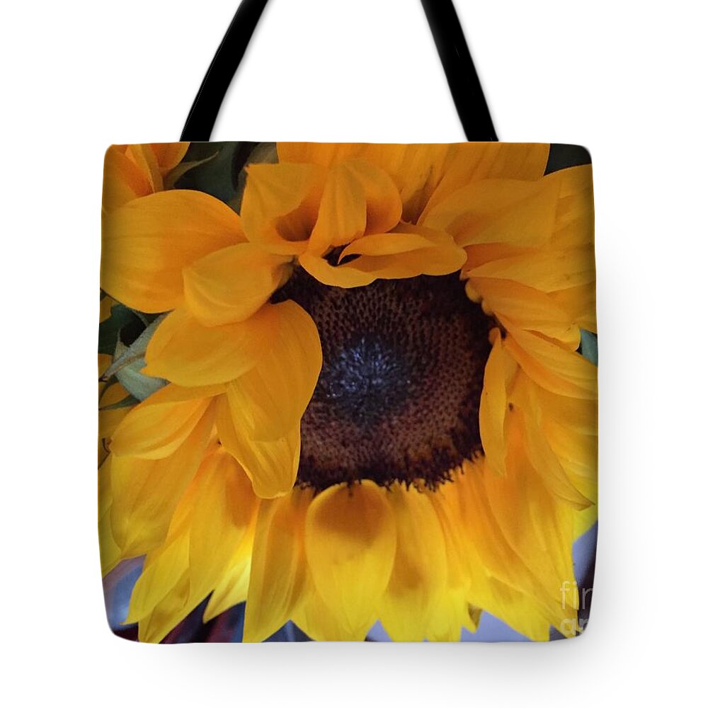 Sunny Tote Bag featuring the photograph Sunflower Series 1-3 by J Doyne Miller