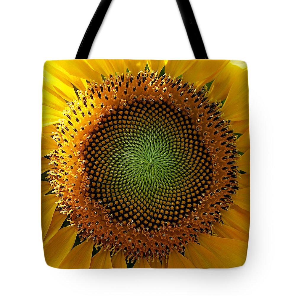 Richard Reeve Tote Bag featuring the photograph Sunflower Spirals by Richard Reeve