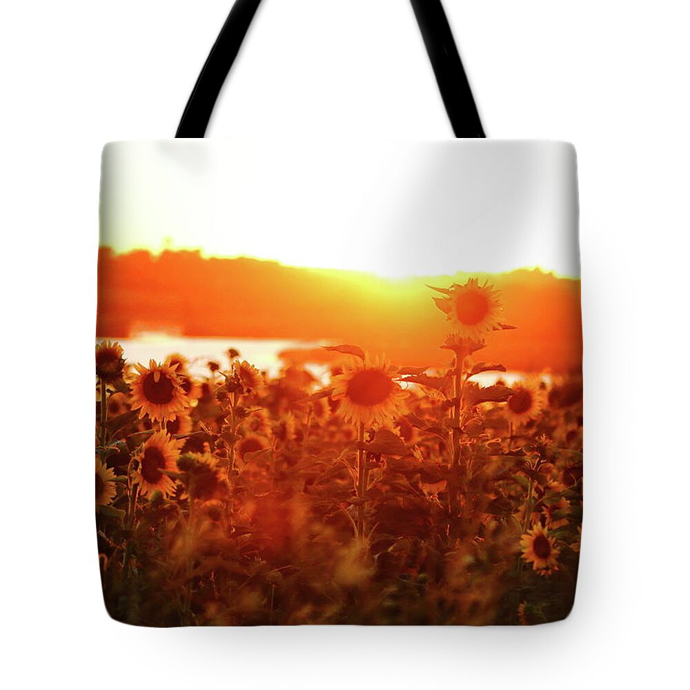 Summer Tote Bag featuring the photograph Sunflower Sunset by Lens Art Photography By Larry Trager