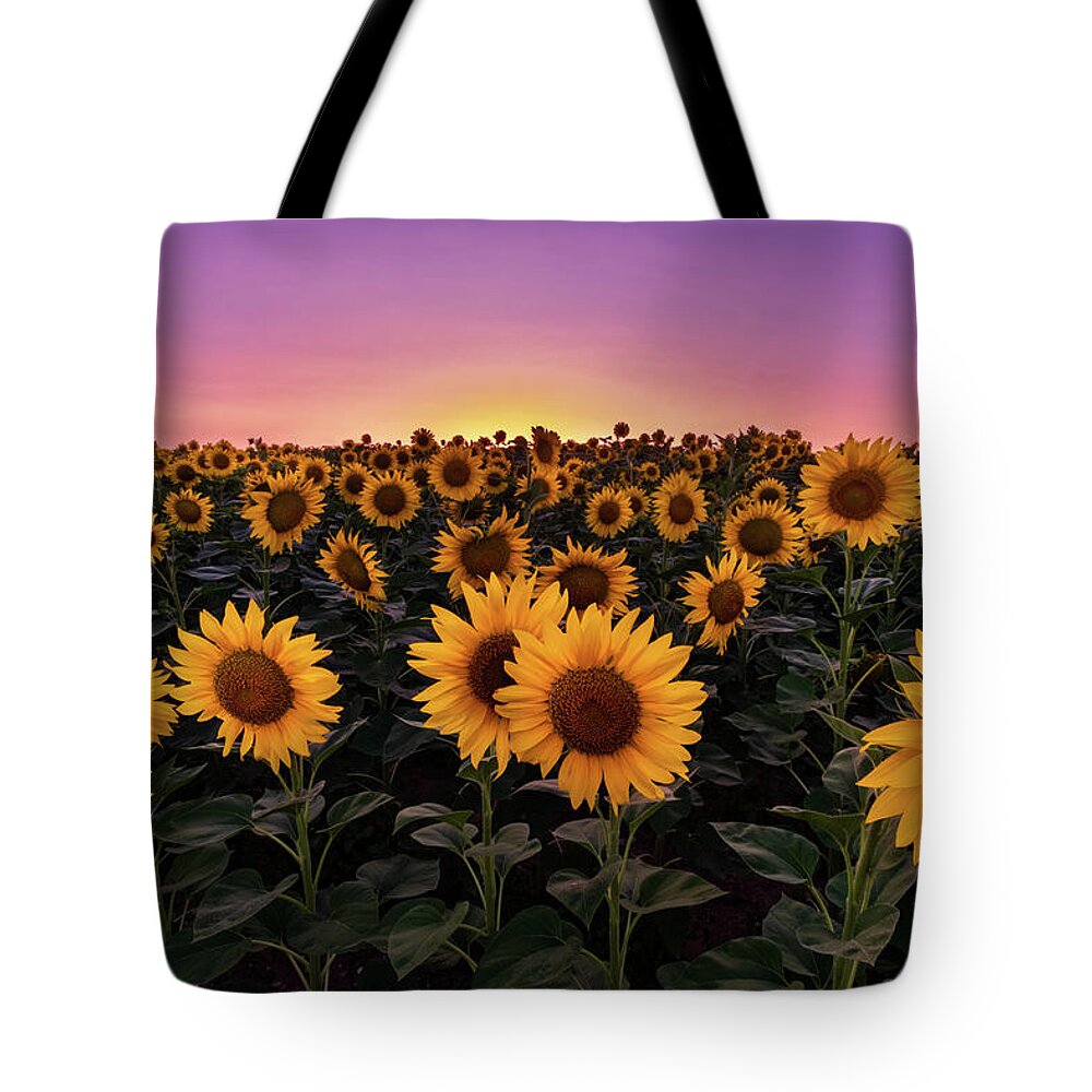 Sunflowers Tote Bag featuring the photograph Sunflowers by Alexios Ntounas