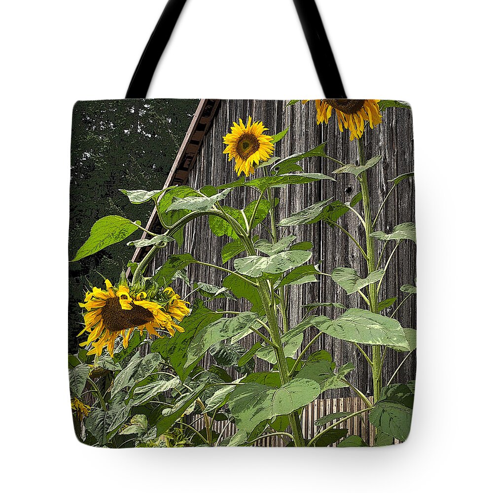 Sunflower Tote Bag featuring the photograph Sunflowers and Old Barn by Jeanette French