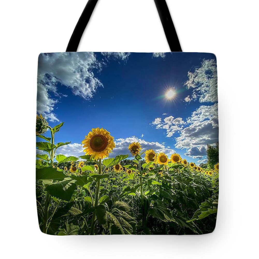 Flower Tote Bag featuring the photograph Sunflowers in Bloom by Susan Rydberg