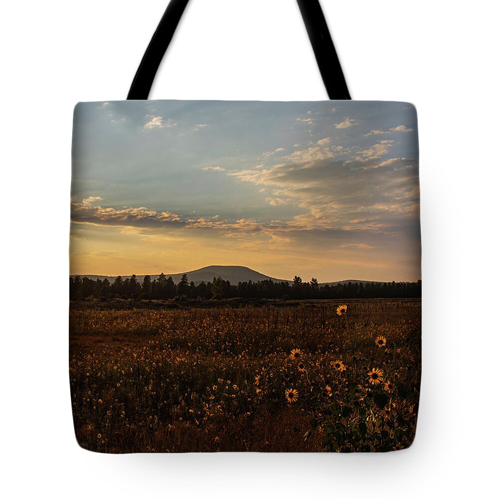 Sunset Tote Bag featuring the photograph Incandescence by Laura Putman