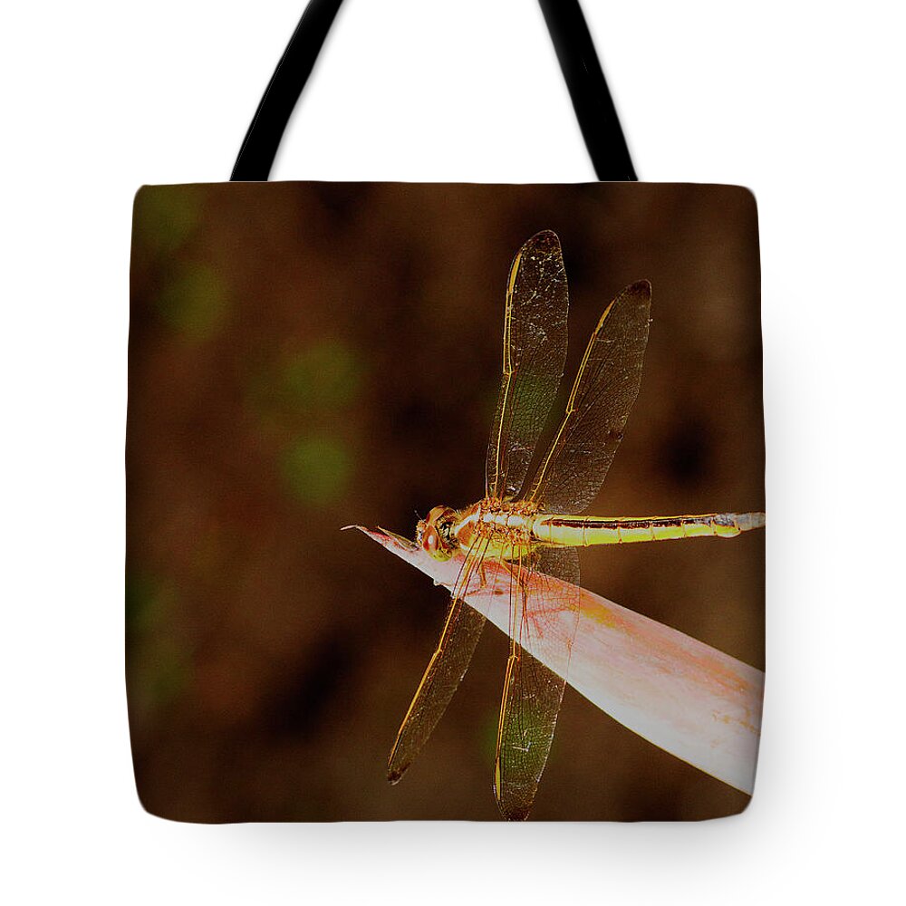 Dragonfly Tote Bag featuring the photograph Sunning Dragon by Bill Barber