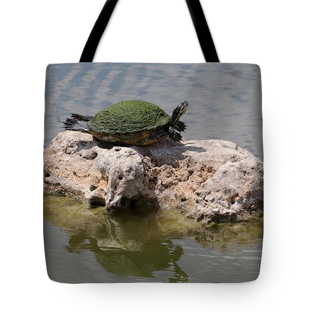 Turtle Tote Bag featuring the photograph Sunning Turtle on a Rock by David T Wilkinson