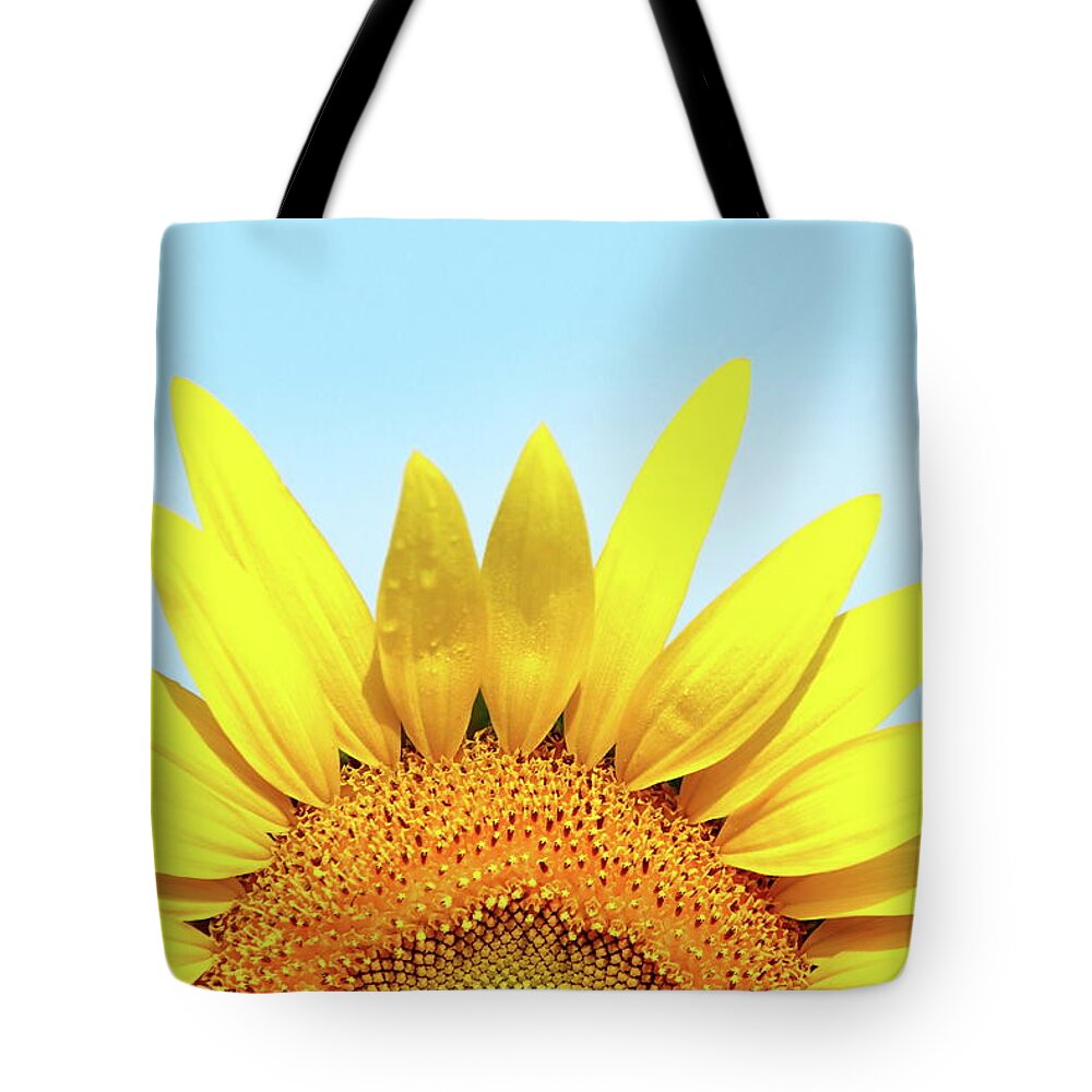 Sunflower Tote Bag featuring the photograph Sunny Day by Lens Art Photography By Larry Trager
