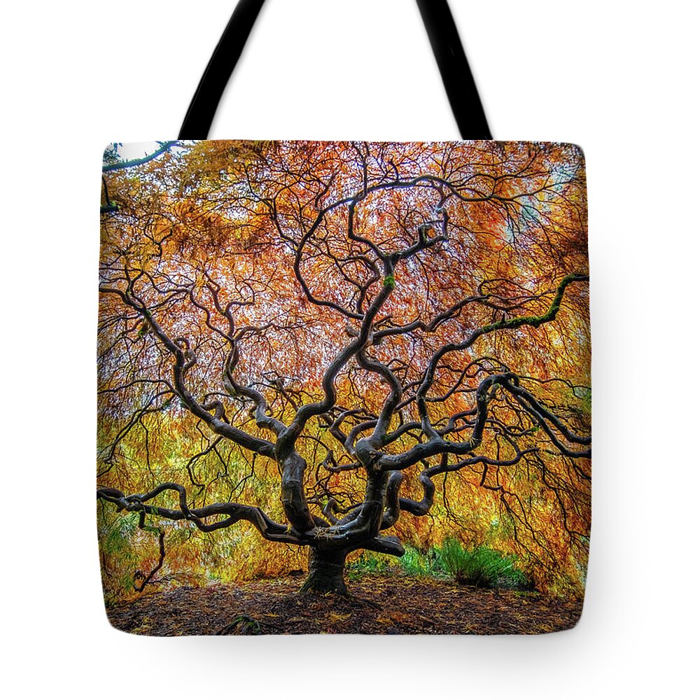Maple Tote Bag featuring the photograph Sunny Japanese Maple by Jerry Cahill