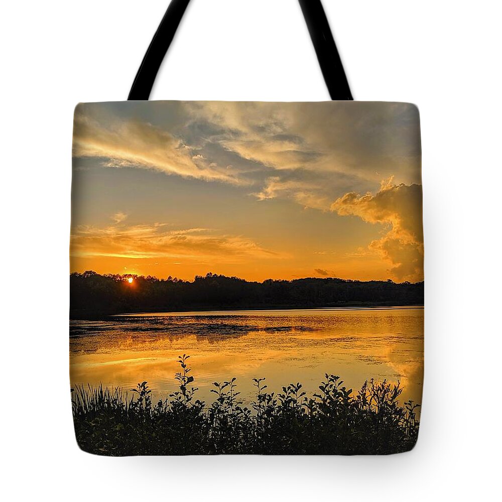  Tote Bag featuring the photograph Sunny Lake Park Sunset by Brad Nellis