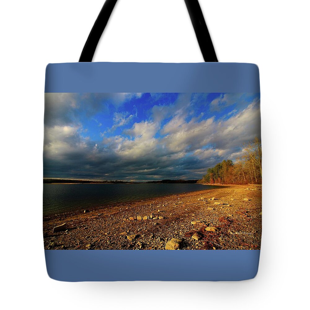 Landscape Tote Bag featuring the photograph Sunny Shore by Mary Walchuck
