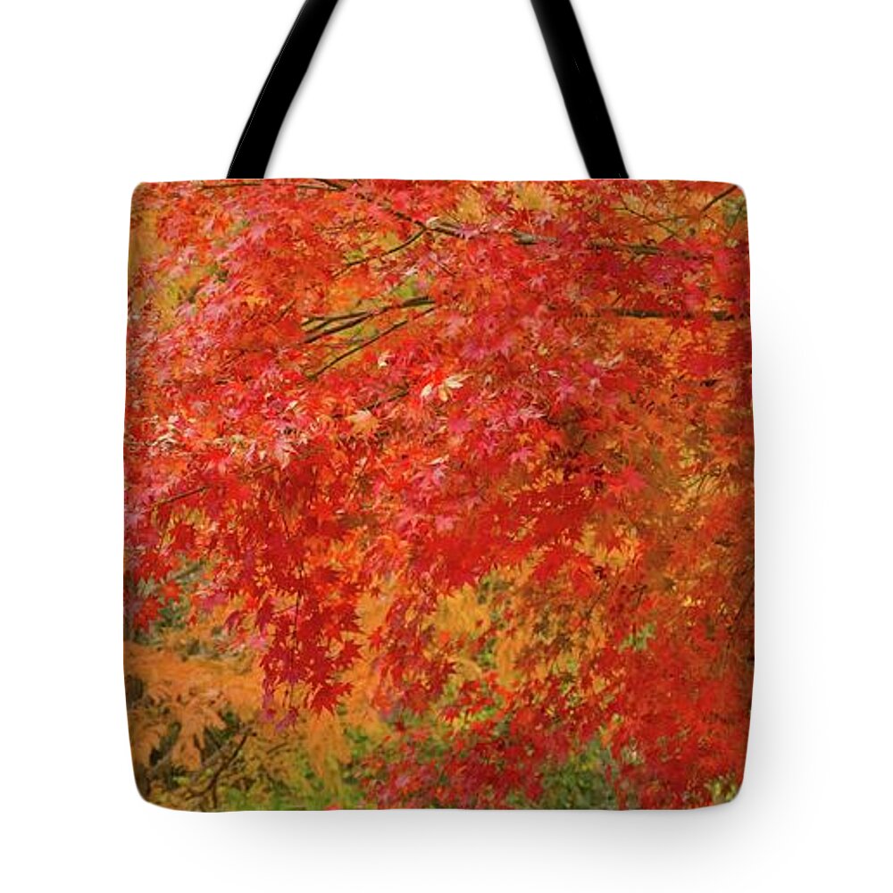 Garden Tote Bag featuring the photograph Sunnylea Autumn by Marilyn Cornwell