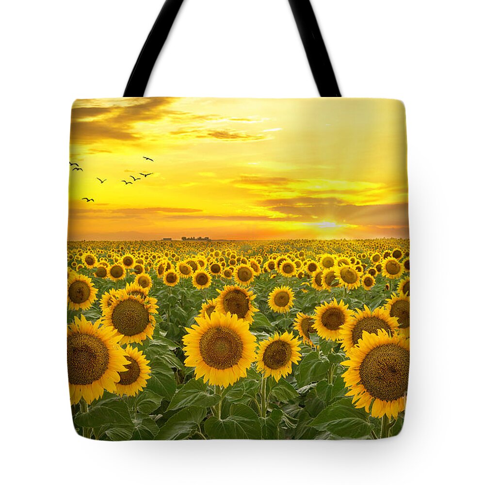 Sunflower Tote Bag featuring the photograph Sunrays and Sunflowers by Ronda Kimbrow
