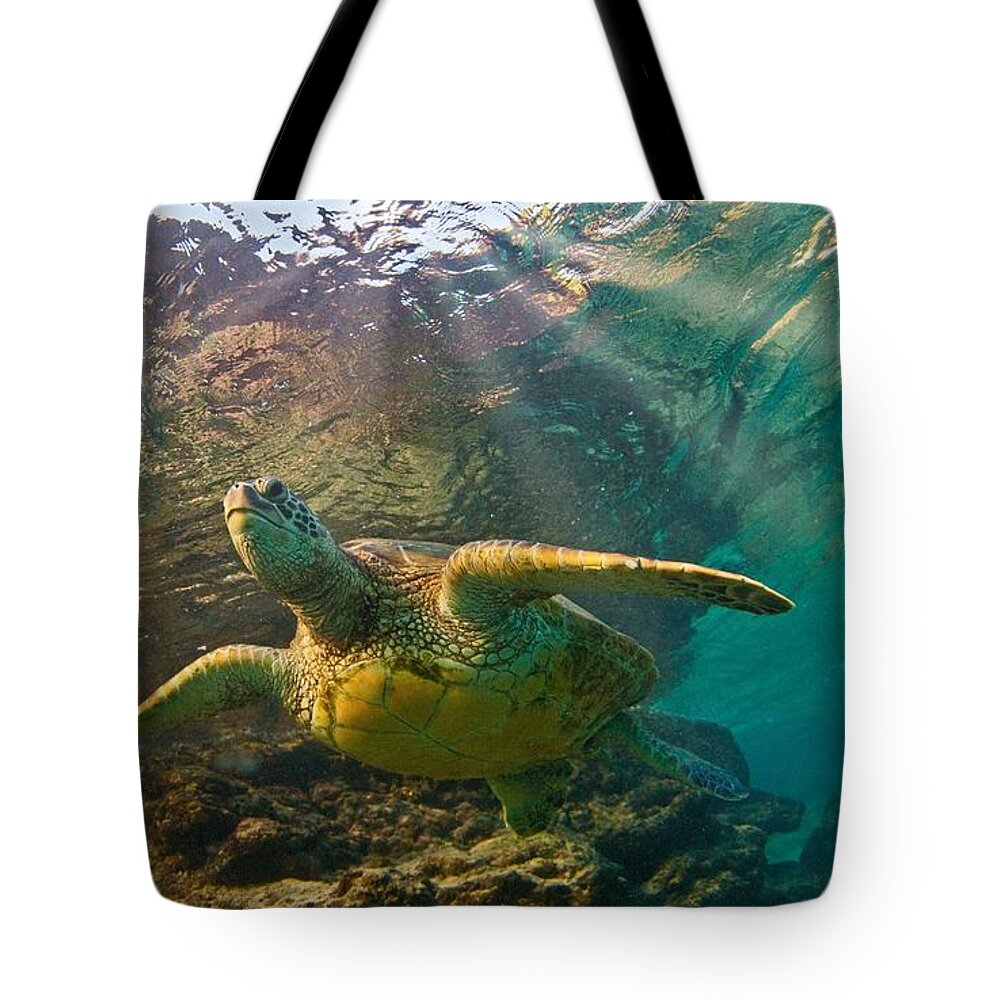 Maui Hawaii Sea Creature Turtle Sun Light Tote Bag featuring the photograph Sunrays by James Roemmling