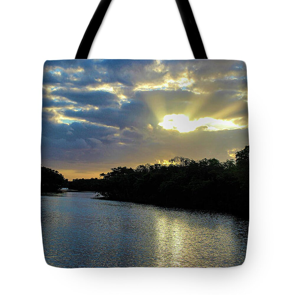 Sunrise Tote Bag featuring the photograph Sunrise at Ponce De Leon Park by Joanne Carey