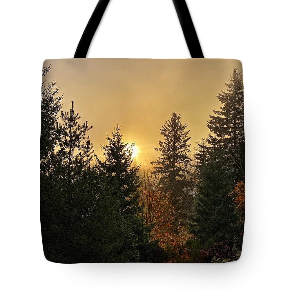 Sunrise Tote Bag featuring the photograph Sunrise Autumn Fog by Jerry Abbott
