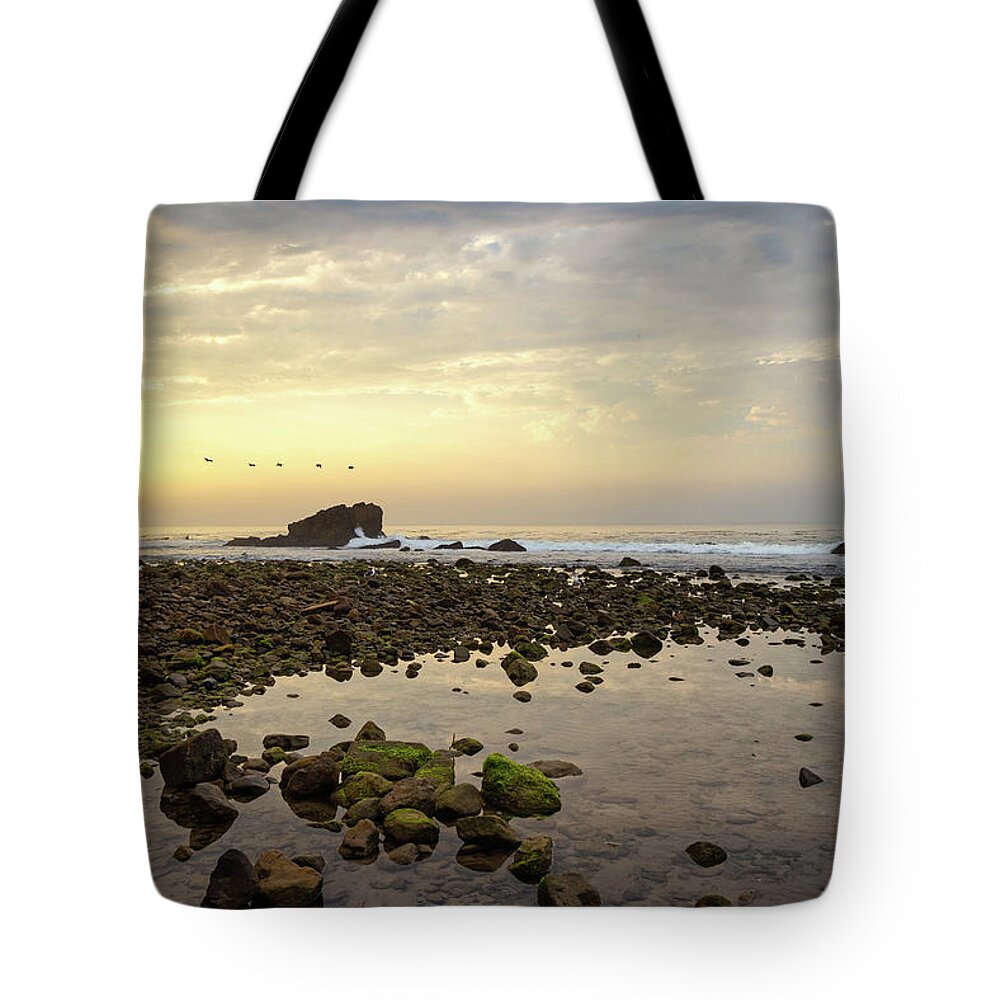 Beach Sunrise Tote Bag featuring the photograph Sunrise Birds Over the Ocean by Matthew DeGrushe