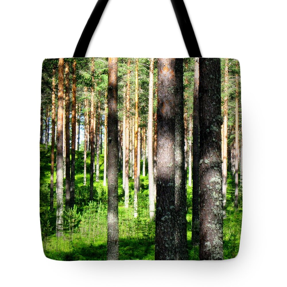 Sunrise Tote Bag featuring the photograph Sunrise in pine forest by Pauli Hyvonen