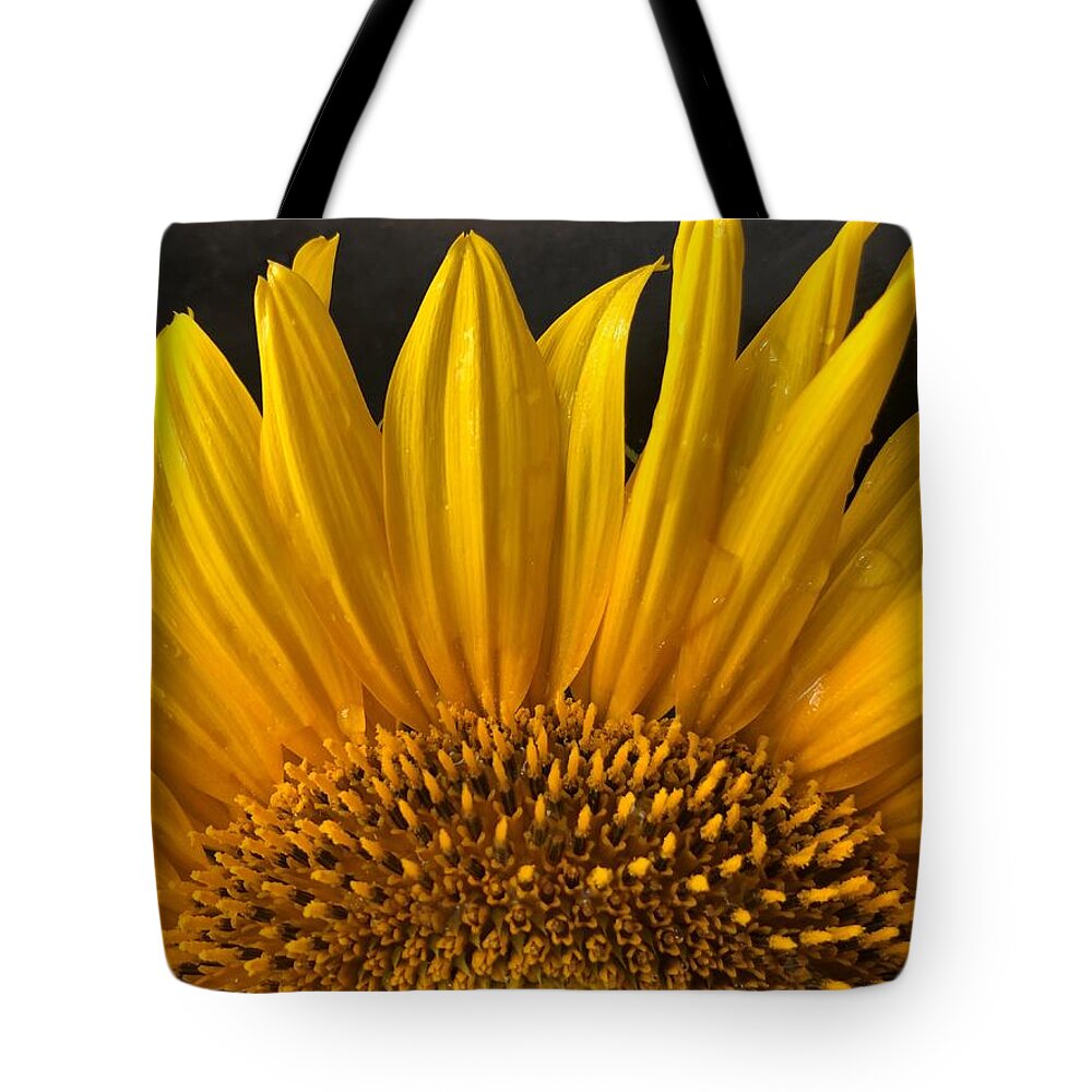 Sunshine Tote Bag featuring the photograph Sunflower-Sunrise by Rachelle Stracke