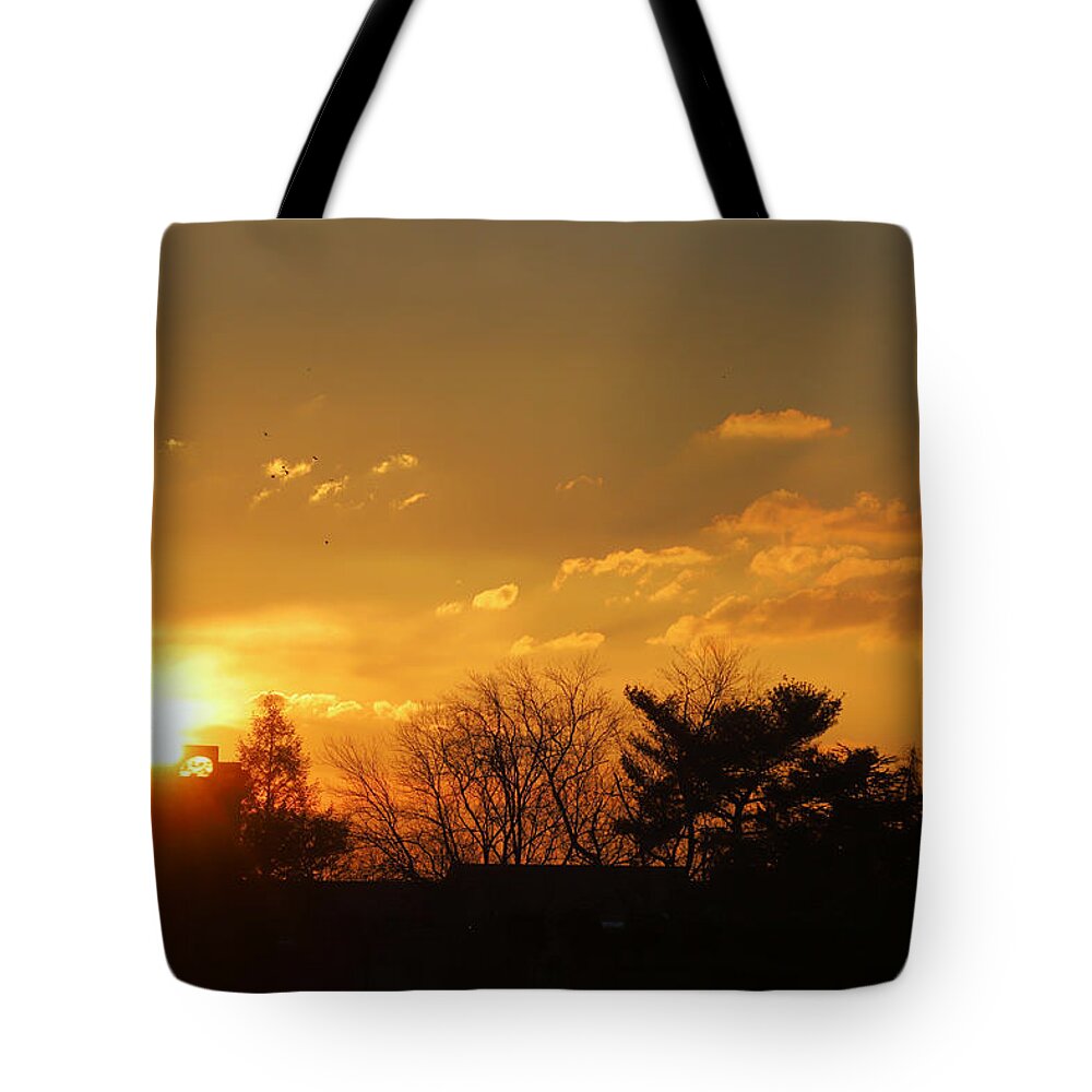 Morning Tote Bag featuring the photograph Sunrise with Birds in Flight Dawn Breaks Free of Highrise February 20 2021 by Miriam A Kilmer