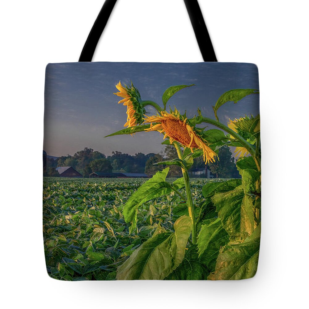 Tennessee Tote Bag featuring the photograph Sunrise With Sunflowers by Marcy Wielfaert