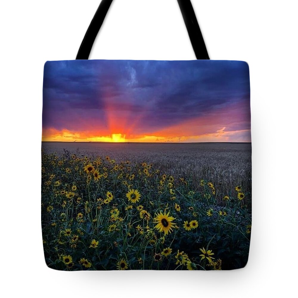 Sunset Tote Bag featuring the photograph Sunset 1 by Julie Powell