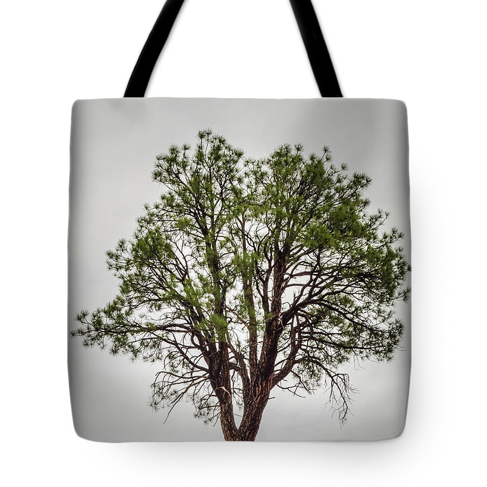 Arbor Tote Bag featuring the photograph Sunset Crater National Monument Arizona Color by David Gordon