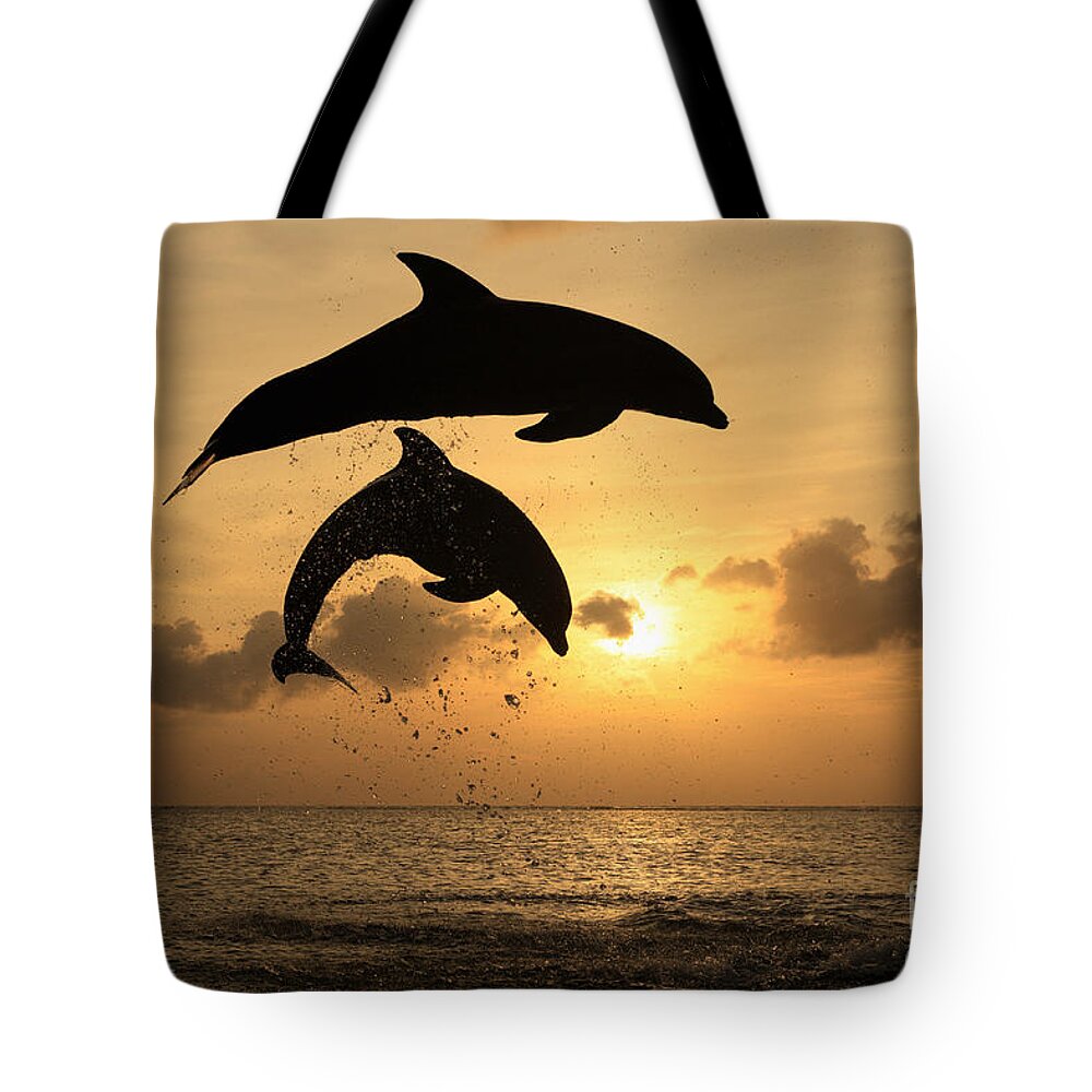 80094760 Tote Bag featuring the photograph Sunset Dolphins by Jurgen and Christine Sohns